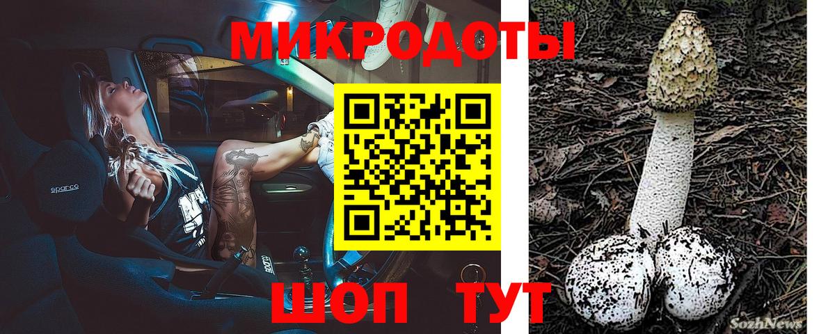 Галлюциногенные грибы Psilocybe Лесной